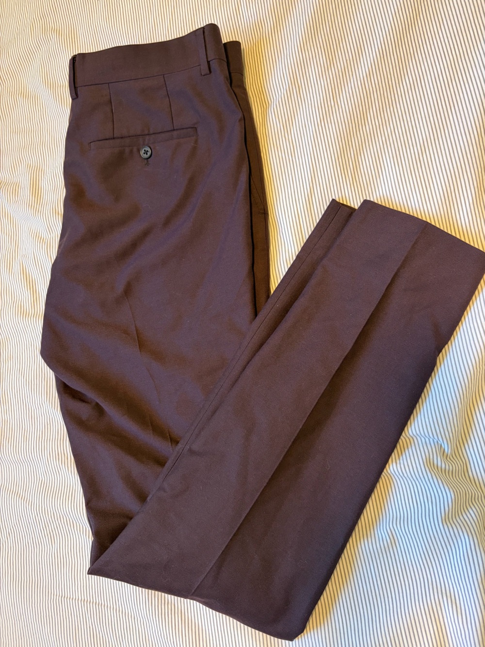 RW&CO. Men's Dress Pants in Burgandy